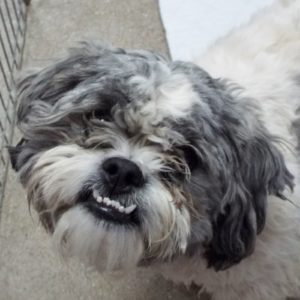 Picture of Grayson