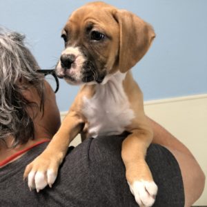 Picture of Laila