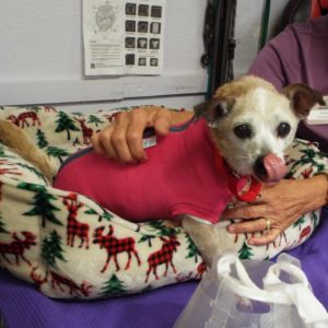 Picture of Winnie