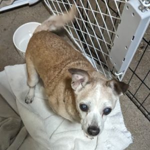 Picture of Winnie