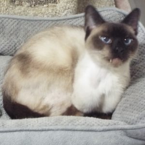 Picture of Andrew
