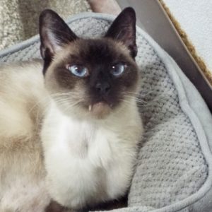 Picture of Andrew