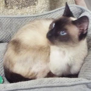 Picture of Andrew