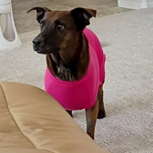 Picture of Coco