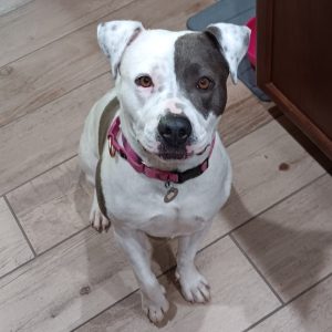 Picture of Delilah