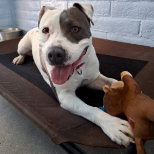 Picture of Delilah