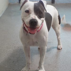 Picture of Delilah