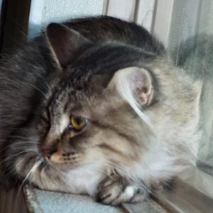Picture of Lexi
