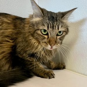 Picture of Maggie