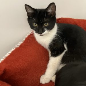 Picture of Marie