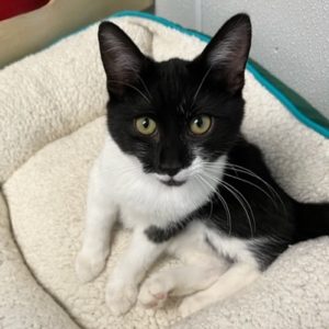 Picture of Marie