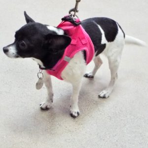 Picture of Thelma