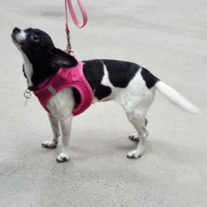 Picture of Thelma