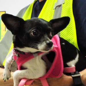Picture of Thelma