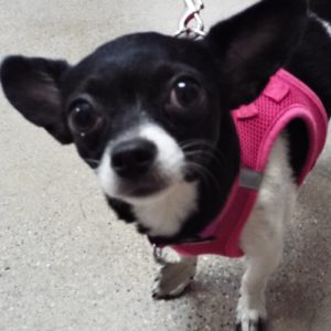 Picture of Thelma