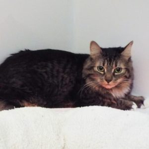 Picture of Tina