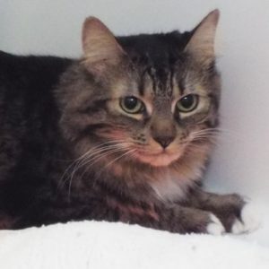 Picture of Tina