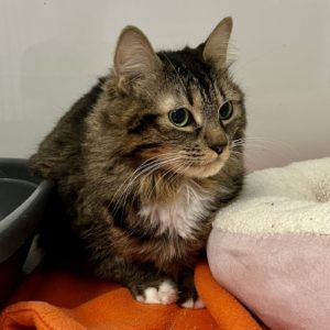 Picture of Tina