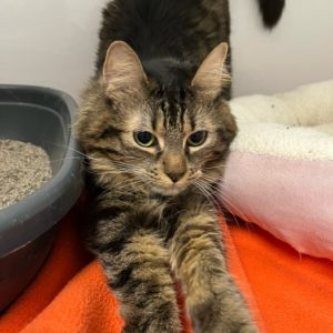 Picture of Tina