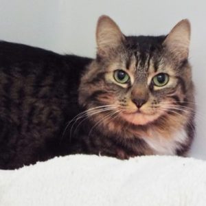 Picture of Tina