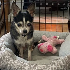 Picture of Wally (R.B.)