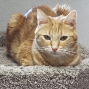 Picture of Arlo