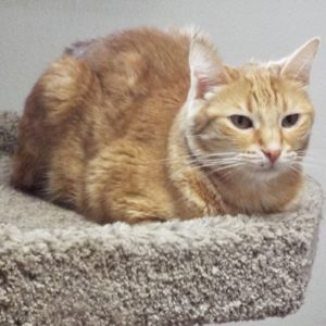 Picture of Arlo