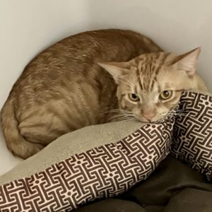Picture of Bruce