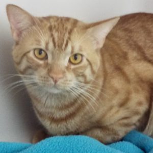Picture of Bruce