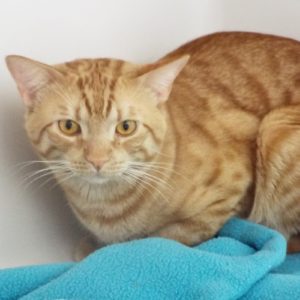Picture of Bruce