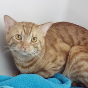 Picture of Bruce