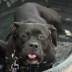 Picture of DJ