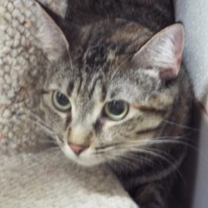 Picture of Mia