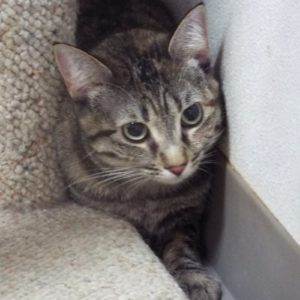 Picture of Mia