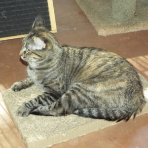 Picture of Mia