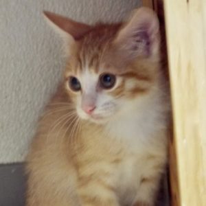 Picture of Quinn