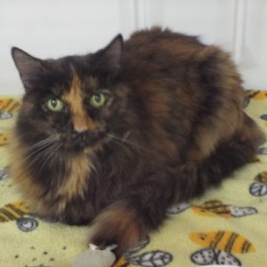 Picture of Samantha