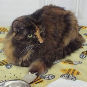Picture of Samantha