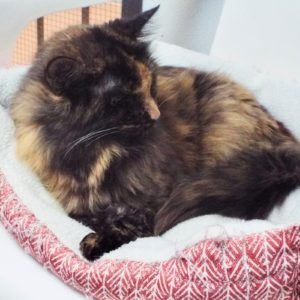 Picture of Samantha