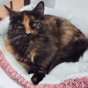 Picture of Samantha
