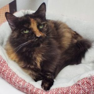 Picture of Samantha