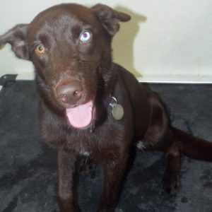 Picture of Yogi