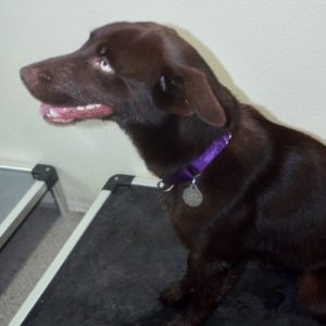 Picture of Yogi