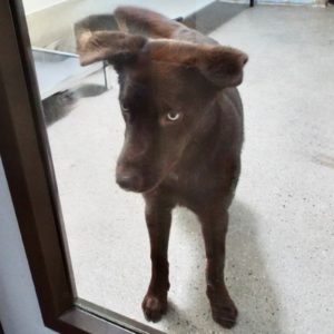 Picture of Yogi