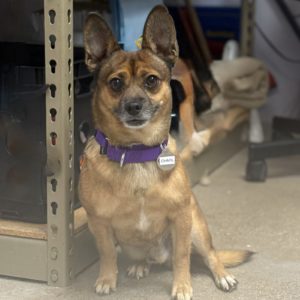 Picture of Charlie