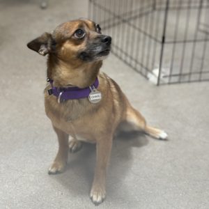Picture of Charlie