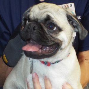 Picture of Jake