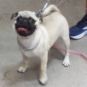 Picture of Jake