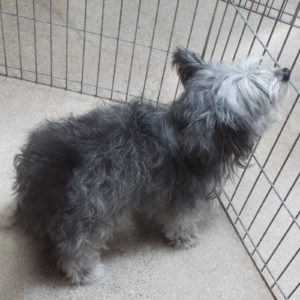 Picture of Kiona