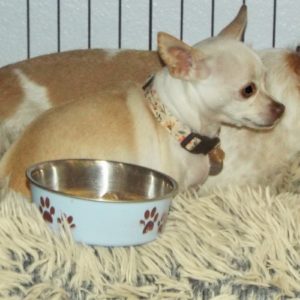 Picture of LiLi